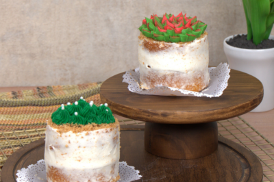 Minicake Suculenta